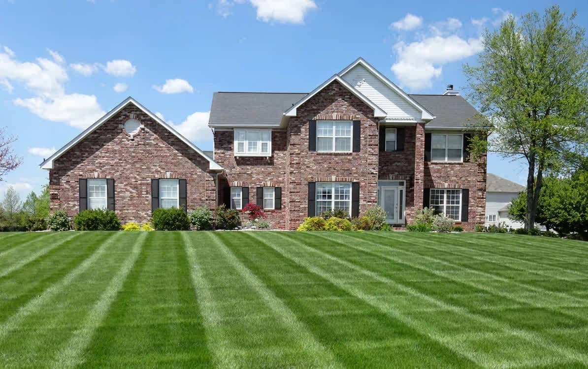 Expertly maintained residential lawn with bold striping, healthy green grass, and polished landscaping that elevates curb appeal for a beautiful brick home.