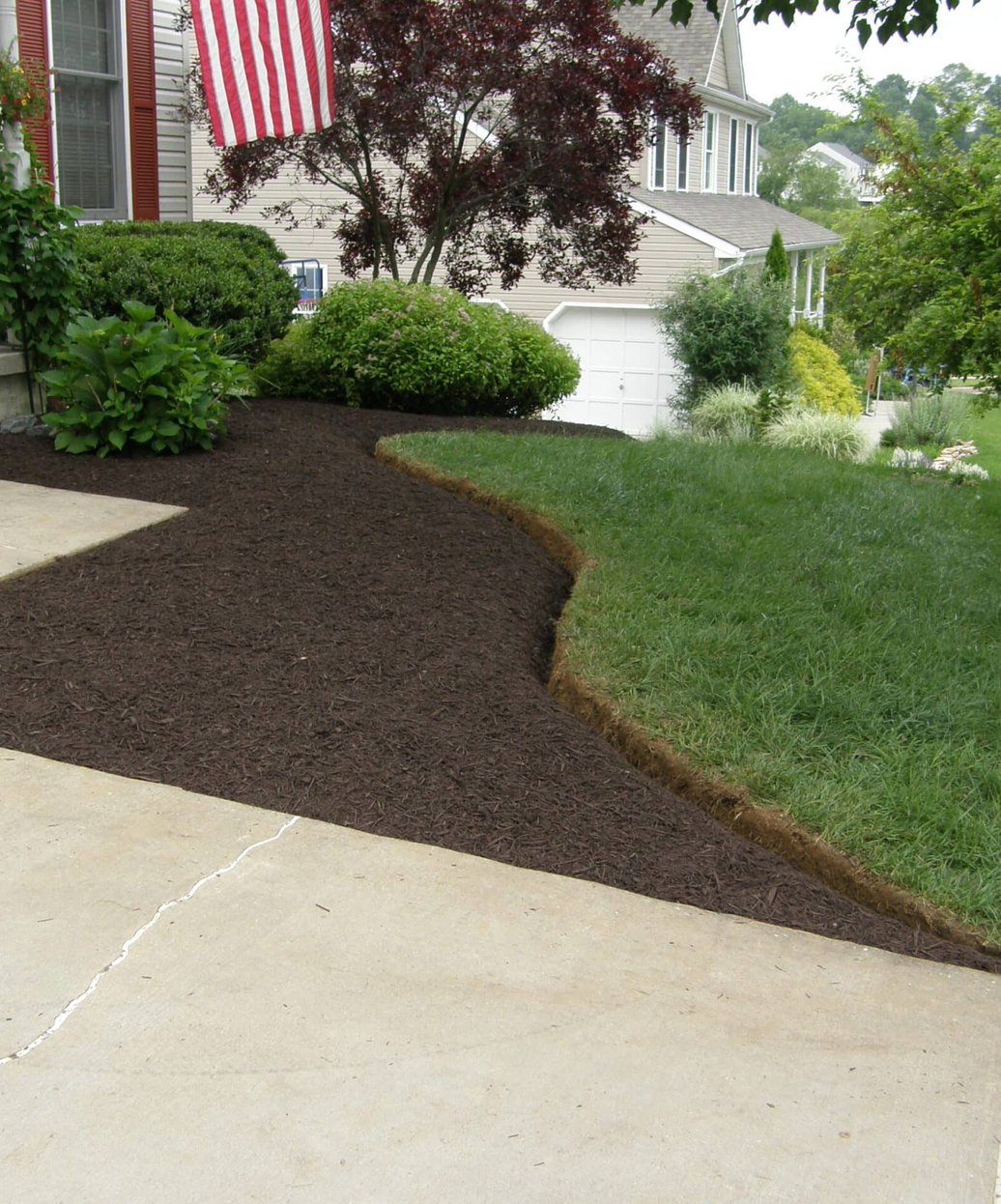 Fresh dark mulch professionally installed in landscape beds with clean edges bordering a healthy green lawn and concrete walkway.