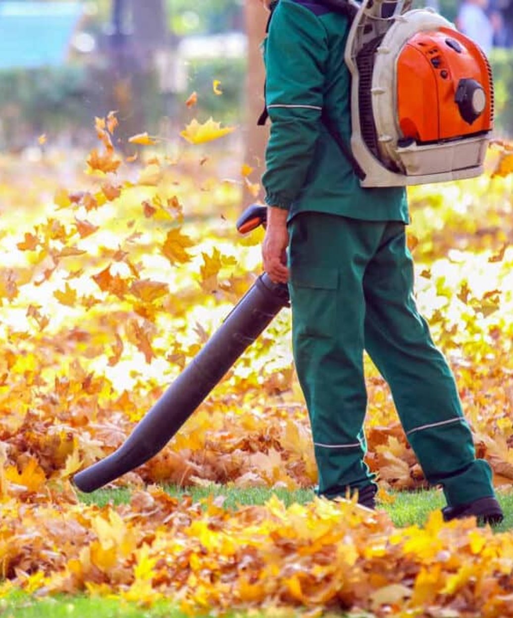Professional lawn care technician using commercial leaf blower to clear fallen autumn leaves from a residential property.