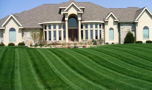 A well-manicured lawn with distinct mowing patterns in front of a large, elegant house.