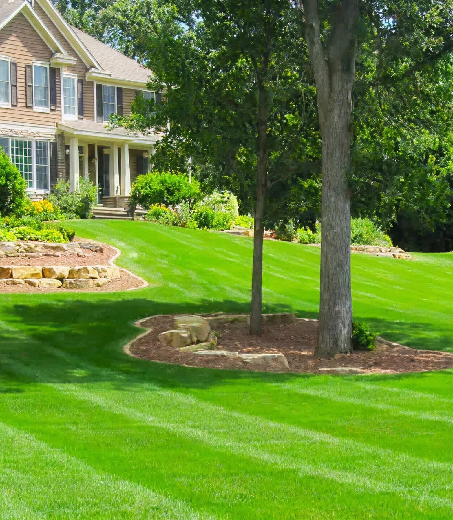 A well-manicured lawn with defined mowing patterns, lush green grass, strategically placed trees and rock formations, and well-maintained garden beds surrounding a large house.