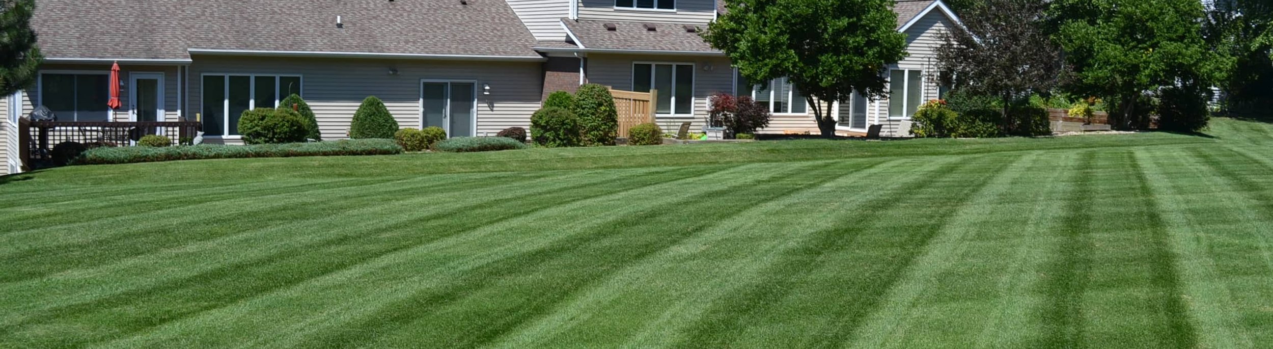 A well-maintained lawn with distinct mowing stripes, surrounding a house with mature trees in the background.