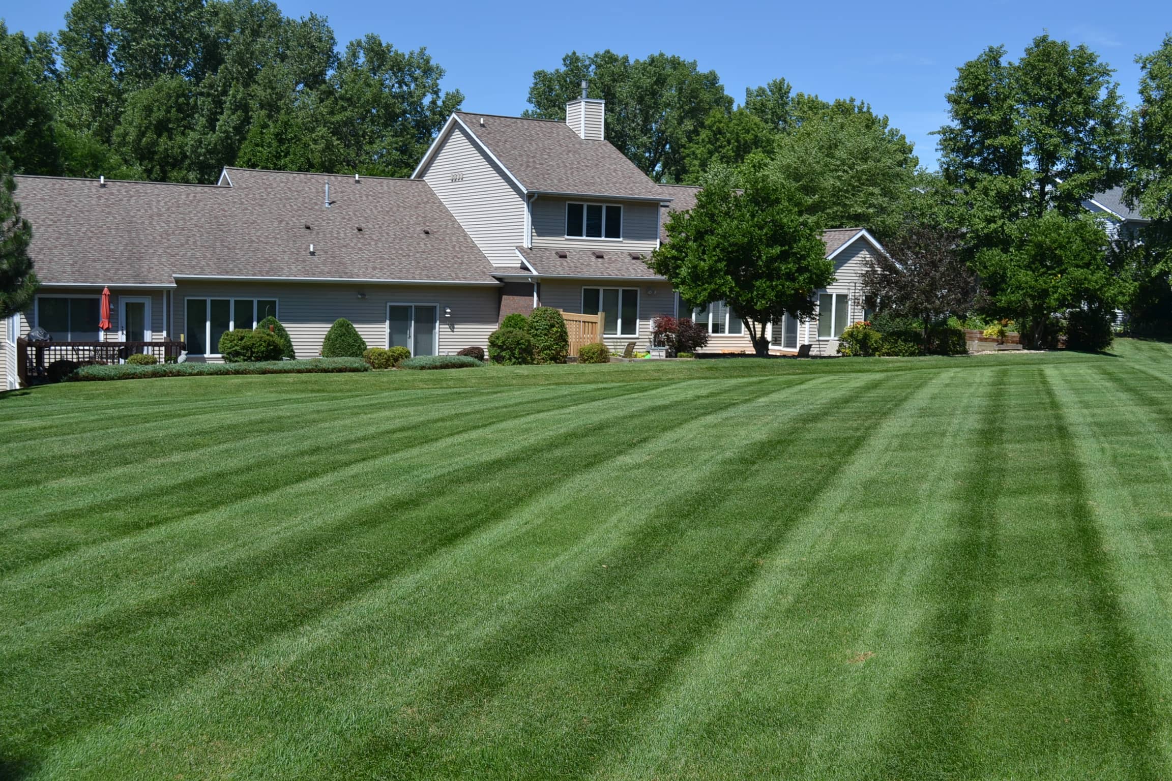 A well-maintained lawn with distinct mowing stripes, surrounding a house with mature trees in the background.