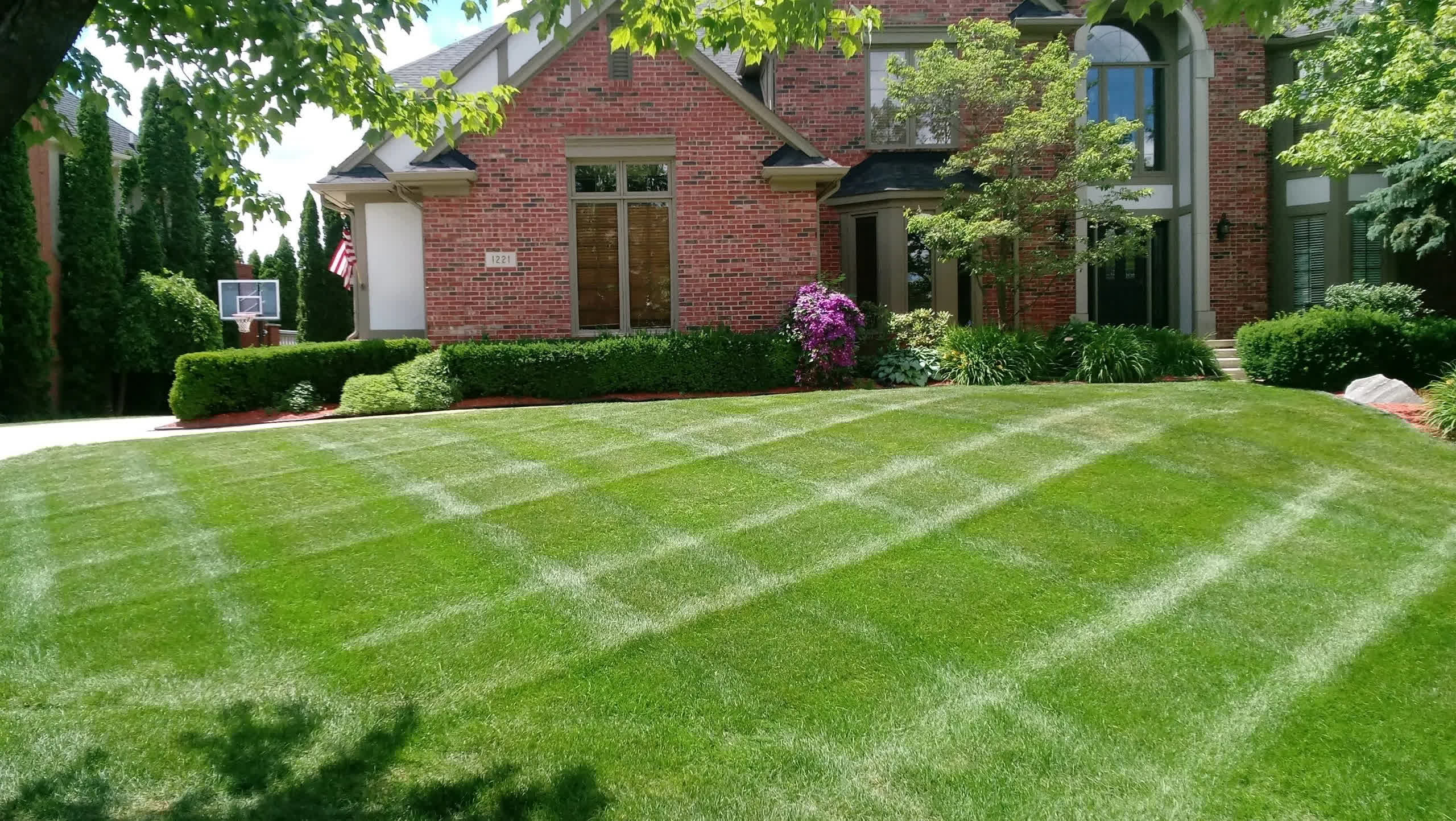 A meticulously manicured lawn with sharp mowing patterns and sculpted hedges.
